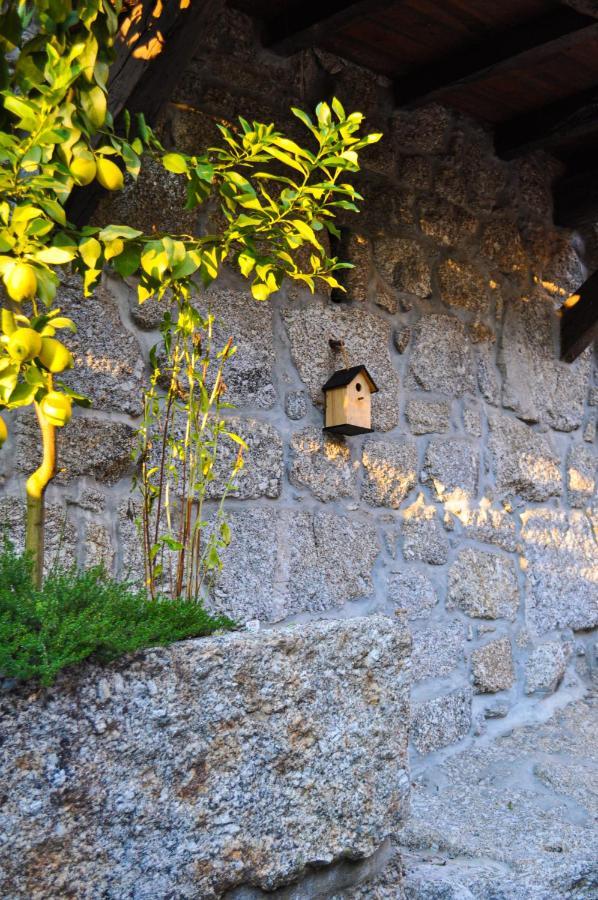 Quinta Das Bollotas Villa Fafe Exterior foto