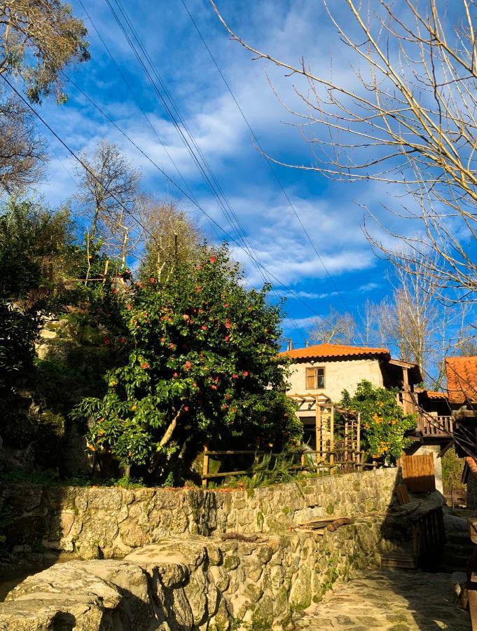 Quinta Das Bollotas Villa Fafe Exterior foto